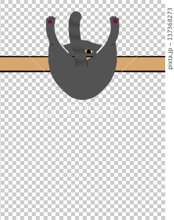 Cat caught on a stick 137368273