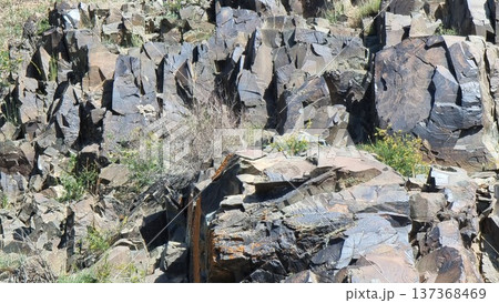 Rocks in the mountains. Stones with petroglyphs. Rocks in the mountains. Stones with petroglyphs. 137368469