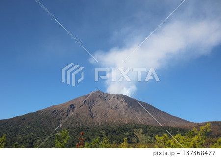 有村溶岩展望所から見る桜島 有村溶岩展望所から見る桜島 137368477