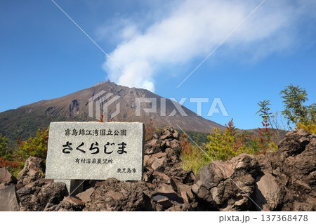 有村溶岩展望所から見る桜島 137368478