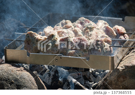 Marinated Pork Skewers Grilling Over Charcoal With Smoke On Metal Tray For Outdoor Barbecue 137368555