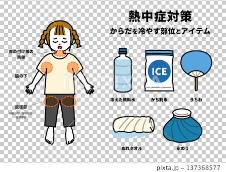 熱中症になった時に冷やす体の部位とアイテムの図解（女の子） 137368577