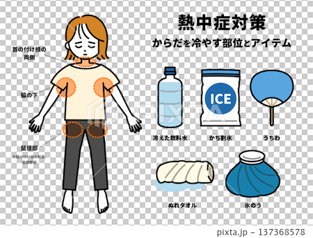熱中症になった時に冷やす体の部位とアイテムの図解（成人女性） 137368578