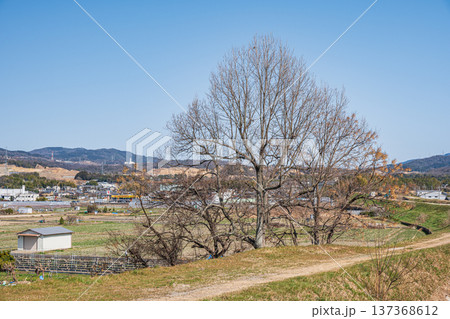 木津川右岸堤防上からの眺め　京都府城陽市 137368612