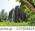 滝と森 137368824