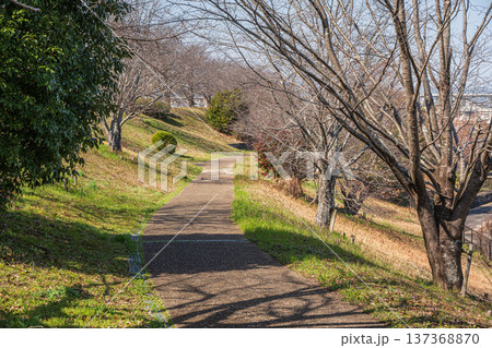 木津川右岸堤防上の公園 桜づつみ富野緑地 京都府城陽市 木津川右岸堤防上の公園 桜づつみ富野緑地 京都府城陽市 137368870