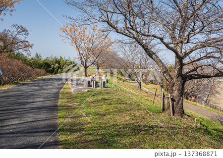 木津川右岸堤防上の公園 桜づつみ富野緑地 京都府城陽市 木津川右岸堤防上の公園 桜づつみ富野緑地 京都府城陽市 137368871