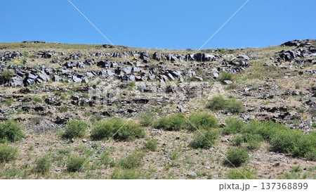 Beautiful View Of The Nature Beautiful View Of The Nature 137368899