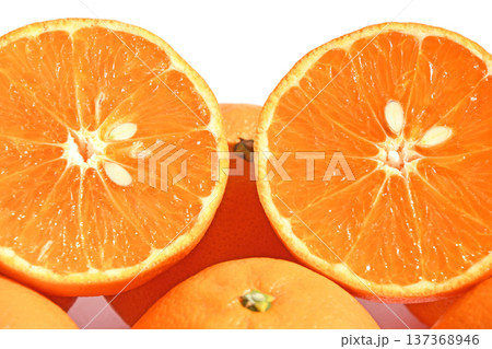 柑橘類(あすみ) 柑橘類(あすみ) 137368946