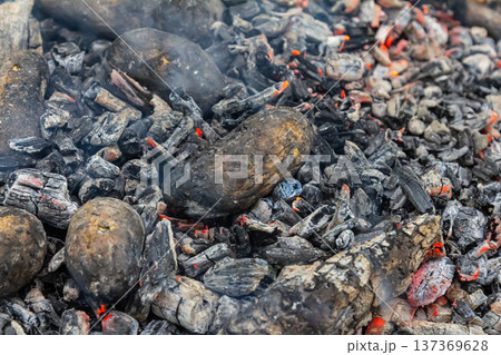 Grilled potatoes slowly cooking over hot charcoal embers in a backyard barbecue setting during a summer afternoon 137369628