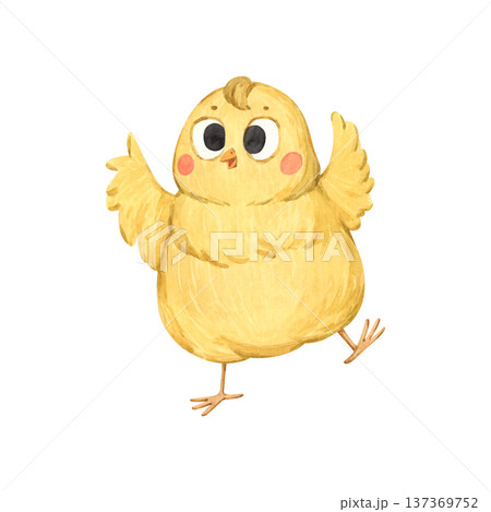 A sweet watercolor illustration of a little yellow chick A sweet watercolor illustration of a little yellow chick 137369752