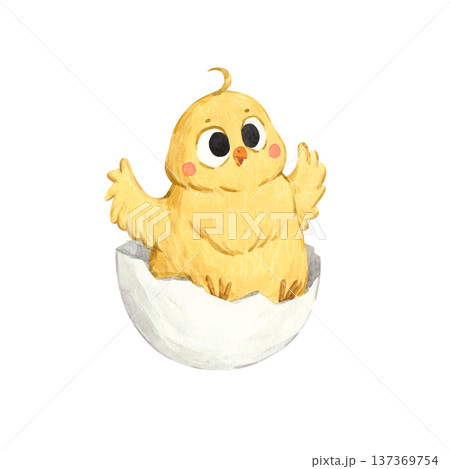 A sweet watercolor illustration of a tiny yellow chick hatching in its shell A sweet watercolor illustration of a tiny yellow chick hatching in its shell 137369754