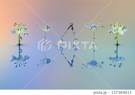 水滴　創作写真 137369813