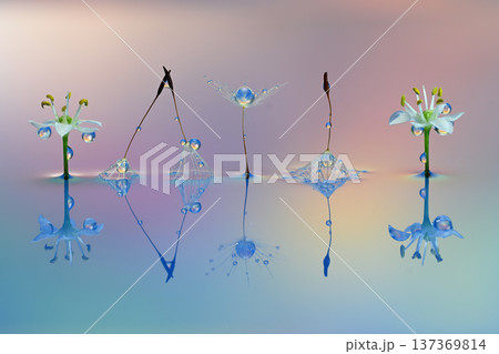 水滴　創作写真 137369814