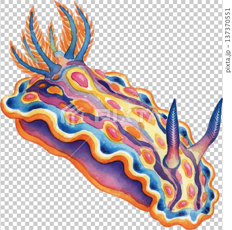 水彩風格海洋生物插畫 | 熱帶魚類與海洋生物（透明PNG格式） 137370551