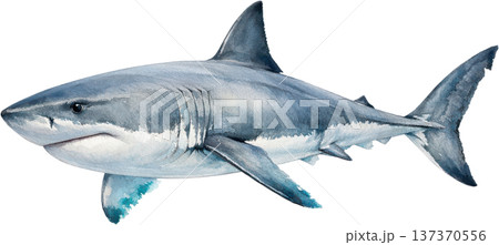 水彩風 海の生き物イラスト｜熱帯魚・海洋生物（透過PNG） 137370556