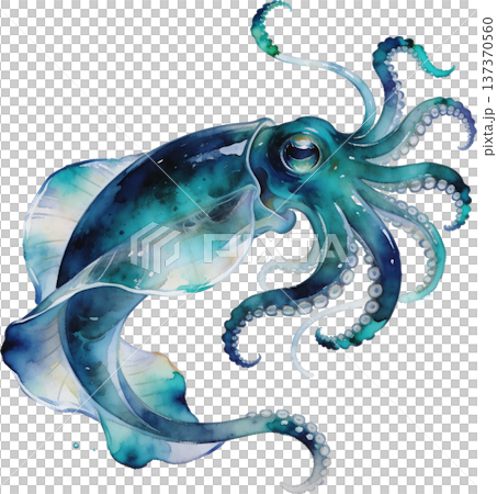 水彩風格海洋生物插畫 | 熱帶魚類與海洋生物（透明PNG格式） 137370560