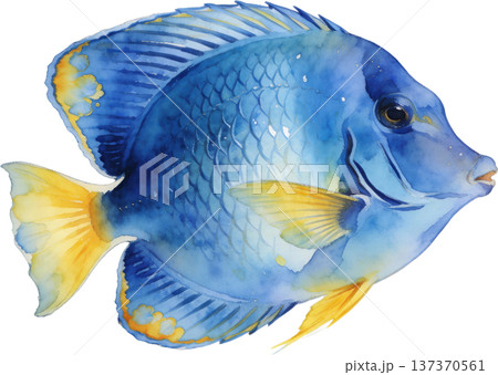 水彩風 海の生き物イラスト｜熱帯魚・海洋生物（透過PNG） 137370561