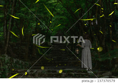 蛍と夜の神社の参道に立つ女性 137370579