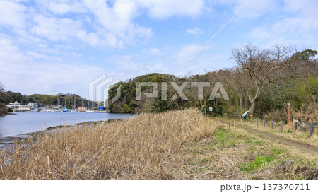 秘境こと関東圏唯一の集水域の三浦半島の小網代の森の冬 137370711