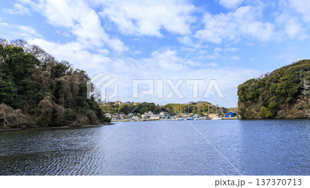 秘境こと関東圏唯一の集水域の三浦半島の小網代の森の冬 137370713