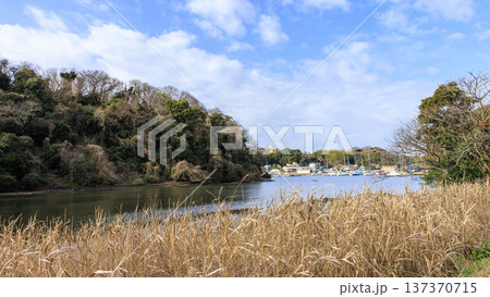 秘境こと関東圏唯一の集水域の三浦半島の小網代の森の冬 秘境こと関東圏唯一の集水域の三浦半島の小網代の森の冬 137370715
