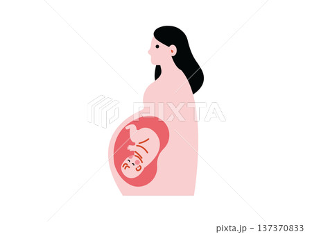 妊娠している女性の医療イラスト 妊娠している女性の医療イラスト 137370833