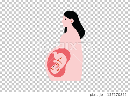 妊娠している女性の医療イラスト 妊娠している女性の医療イラスト 137370833