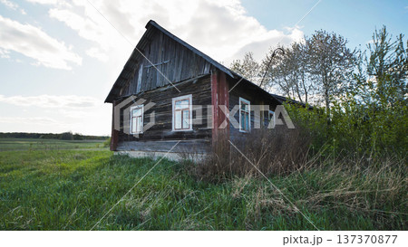 Old wooden abandoned house in slavic village surrounded by green grass and trees 137370877