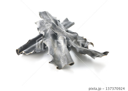 乾燥昆布のみを白背景で撮影 乾燥昆布のみを白背景で撮影 137370924