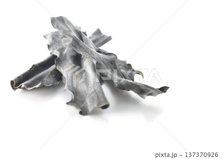 乾燥昆布のみを白背景で撮影 137370926