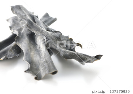 乾燥昆布のみを白背景で撮影 137370929