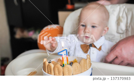 Baby boy celebrating first birthday reaching for number one candle on a small cake Baby boy celebrating first birthday reaching for number one candle on a small cake 137370983