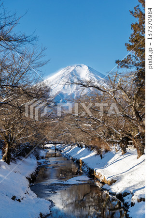 忍野八海散策路　初春の新名庄川から望む富士山　 137370984