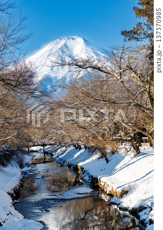 忍野八海散策路 初春の新名庄川から望む富士山 忍野八海散策路 初春の新名庄川から望む富士山 137370985