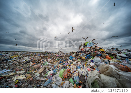 Plastic pollution creating environmental contamination at a large garbage landfill 137371150