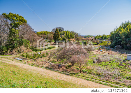 木津川右岸河川敷の農地 京都府城陽市 木津川右岸河川敷の農地 京都府城陽市 137371562