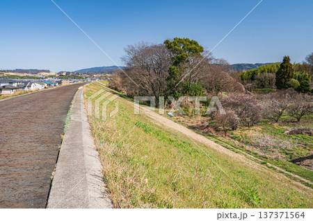 木津川右岸堤防上からの眺め　京都府城陽市 137371564