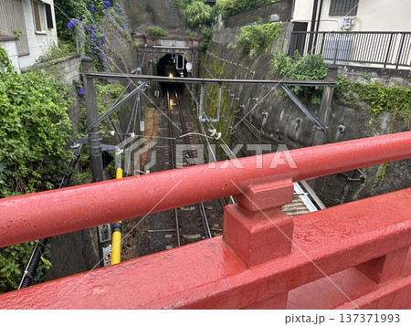 赤い橋から見る江ノ電 赤い橋から見る江ノ電 137371993
