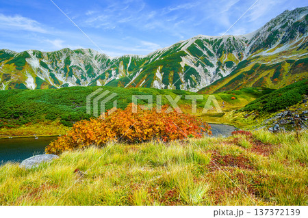 初秋の立山「みどりが池」越しに見る山並み 137372139