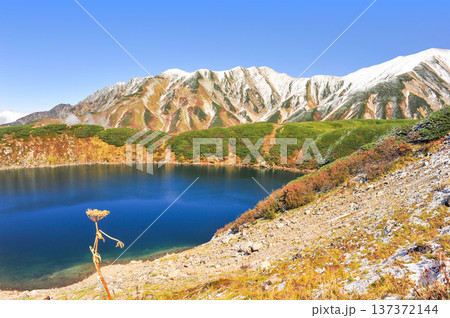 秋の立山「みくりが池」 秋の立山「みくりが池」 137372144