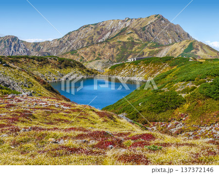 秋の立山「みくりが池」 秋の立山「みくりが池」 137372146