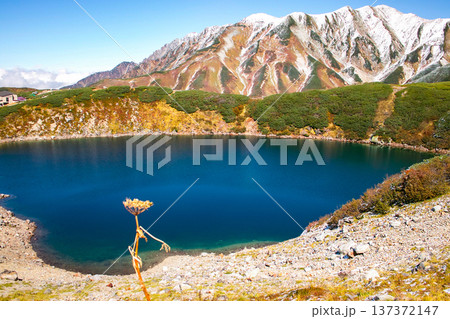 秋の立山「みくりが池」 137372147