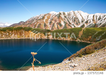秋の立山「みくりが池」 137372148