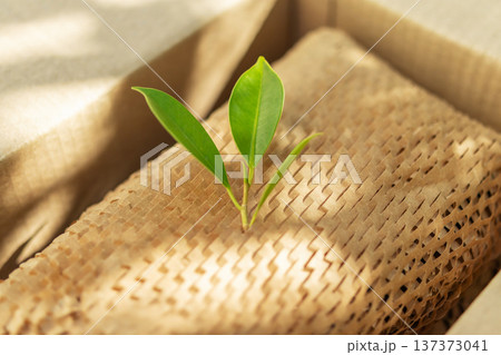 Green leaf on eco friendly brown paper honeycomb wrap for product packaging parcel carton box 137373041