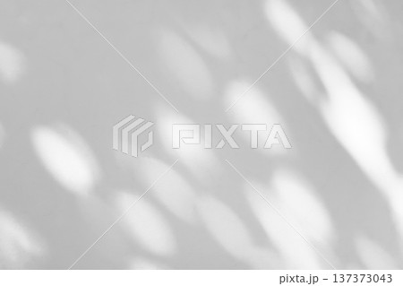 Abstract natural tree branch leaves shadow on white wall background 137373043