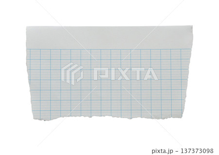 piece of lined graph paper tear isolated on white background piece of lined graph paper tear isolated on white background 137373098
