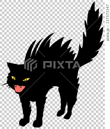 Threatening cat - Angry, bristling cute cat illustration material Threatening cat - Angry, bristling cute cat illustration material 137373347
