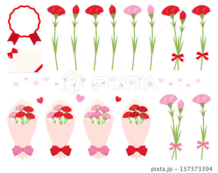 母の日のカーネーションやカードのイラストセット 137373394