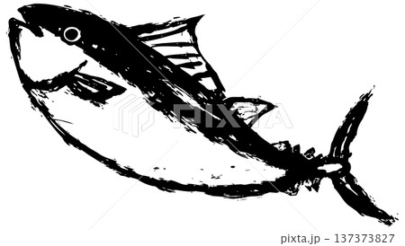 墨で描いた手書きのマグロの挿絵イラスト素材 137373827